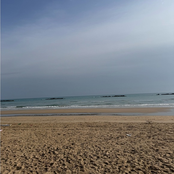 Meet your Posher, Tamika - Picture 1 of 1